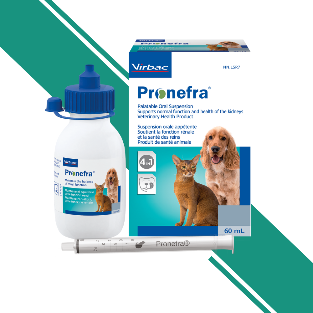 Pronefra Oral Suspension for Kidney and Renal Support in Cats and Dogs